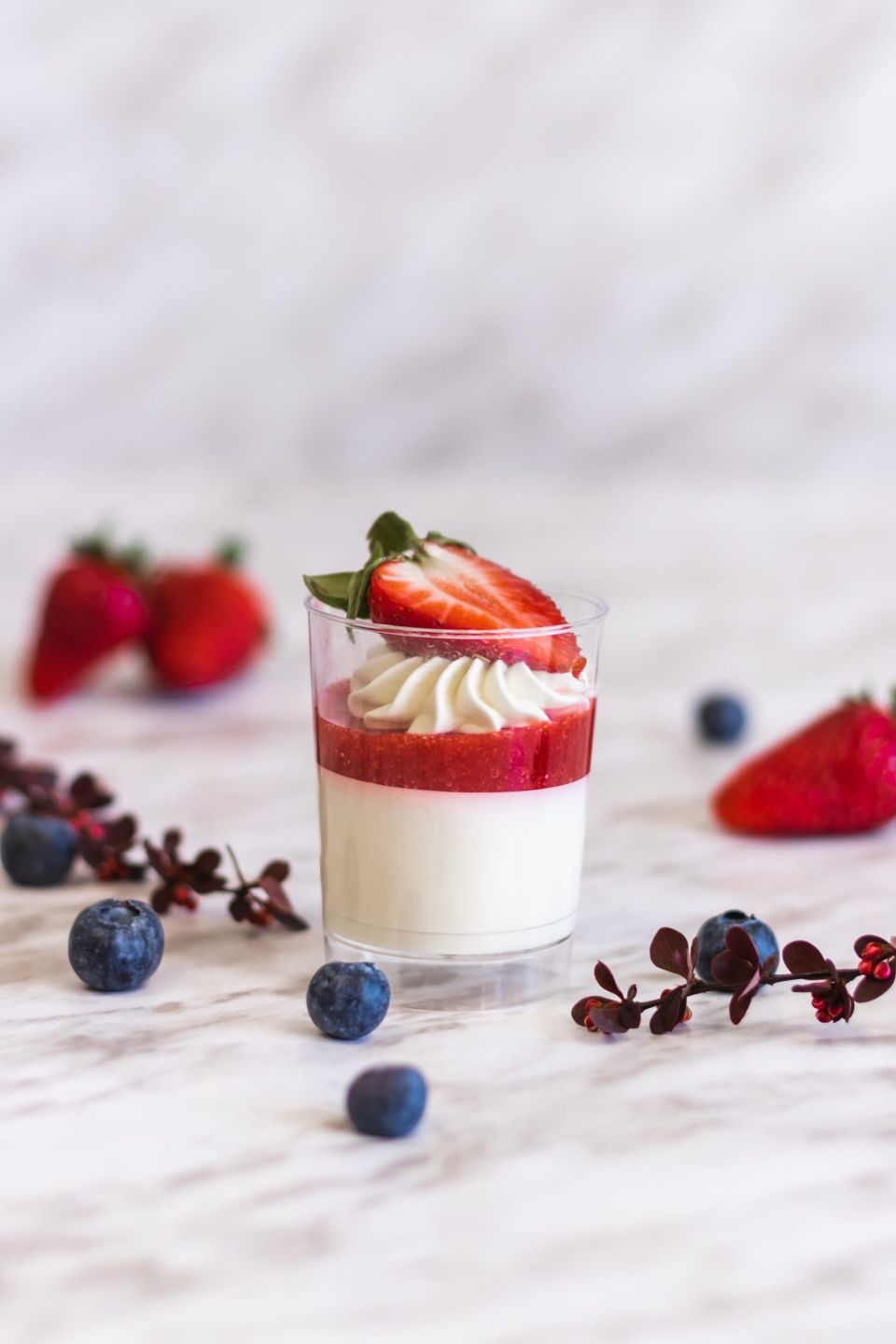 Panna cotta desertas